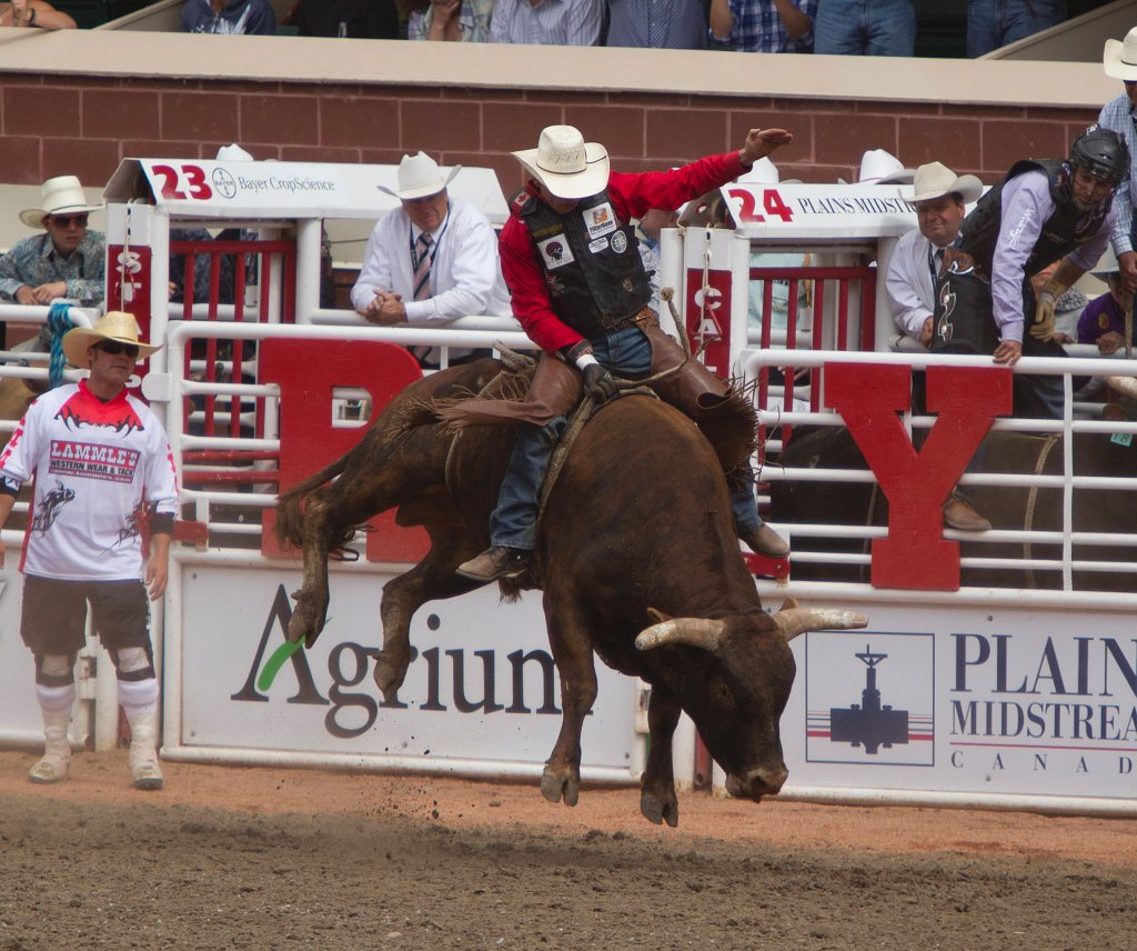 Calgary Stampede-2261.jpg